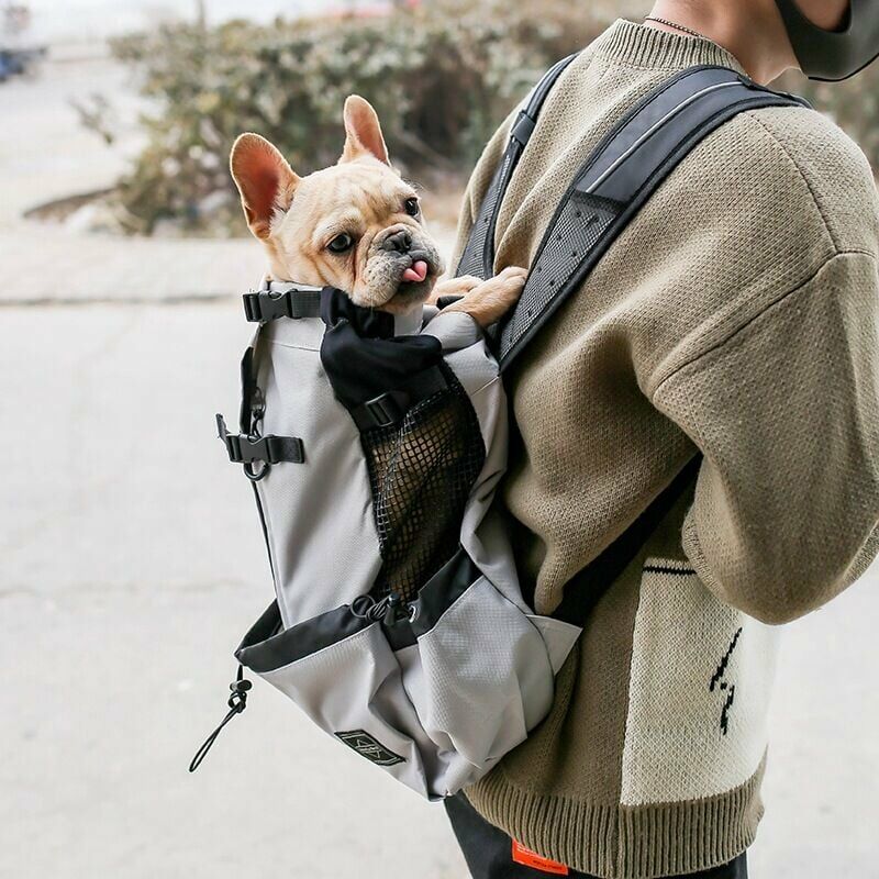 mochila-liviana-para-perros-pequenos-y-medianos-aprobada-por-veterinarios-para-viajes-facil-de-transportar-y-que-ahorra-espacio-L-27600547-71574925_1