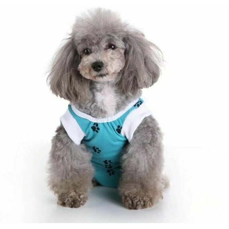 ropa-para-mascotas-ropa-para-perros-ropa-de-cirugia-de-esterilizacion-ropa-de-rehabilitacion-para-perros-ropa-de-proteccion-contra-lesiones-para-perros-azul-m-L-26476978-71434206_1