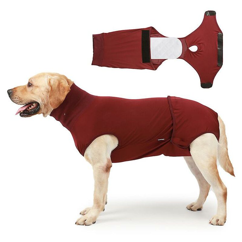 traje-de-recuperacin-para-perros-y-gatos-despus-de-la-ciruga-vendaje-para-heridas-abdominales-L-22086973-65951888_1